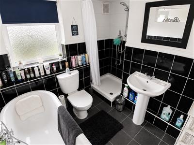 Picture 11